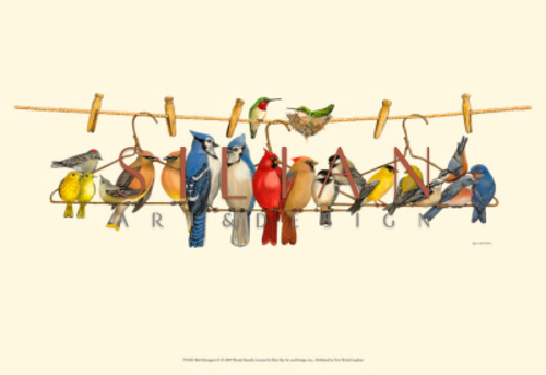 Birds of Costa Rica