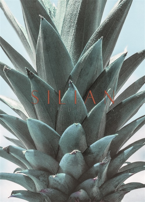 Pineapple Leaves