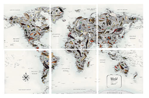 Animal on Earth II