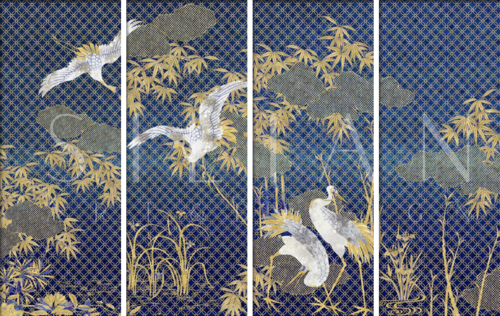 仙鹤芭蕾