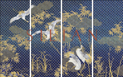 仙鹤芭蕾