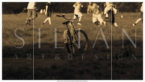 The Bike Combination