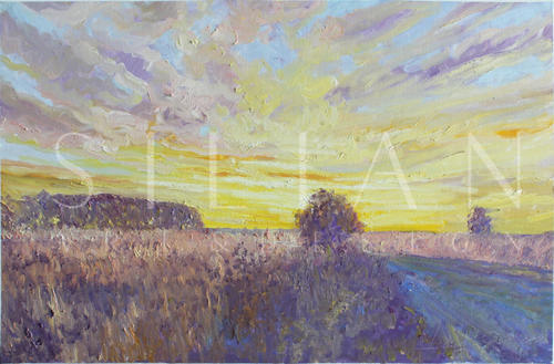 Countryside IX