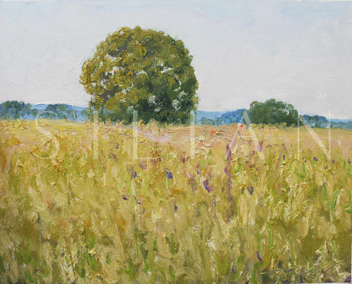 Idyllic Scenery IV