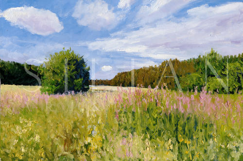 Countryside IX