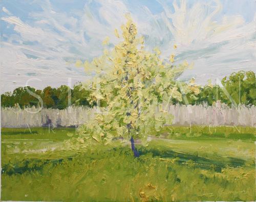 Idyllic Scenery VII