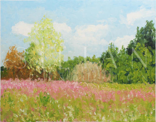 Idyllic Scenery IX