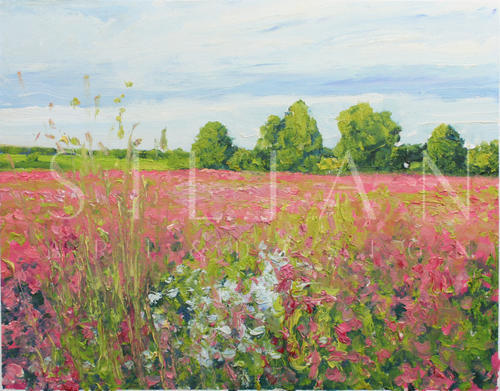 Idyllic Scenery X
