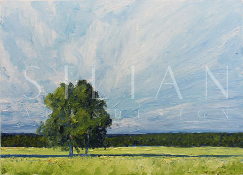 Countryside I