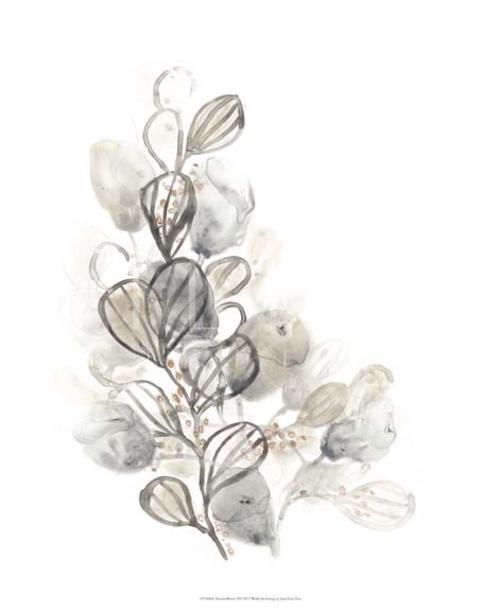 Neutral Botany II