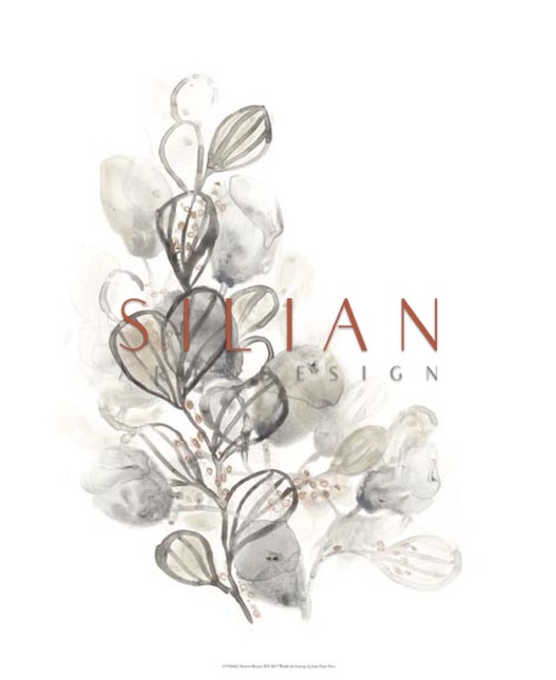 Neutral Botany II