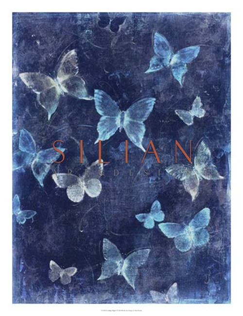 Indigo Flight II