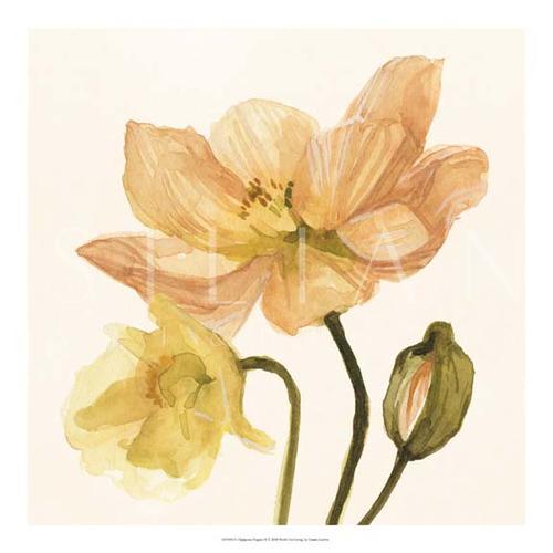 Highpoint Poppies II