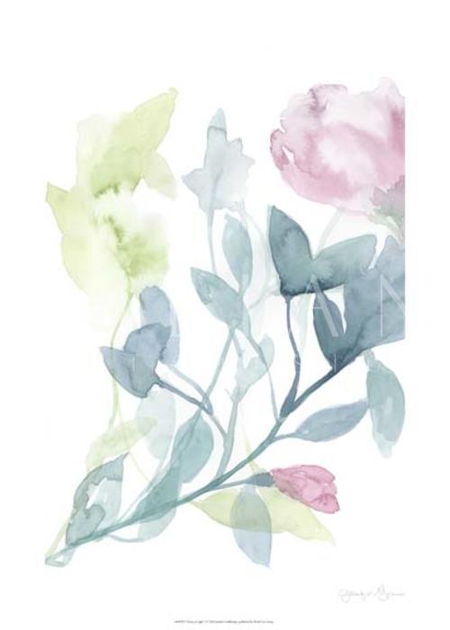 Peony in Light I