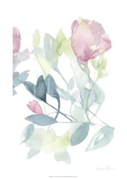 Peony in Light II