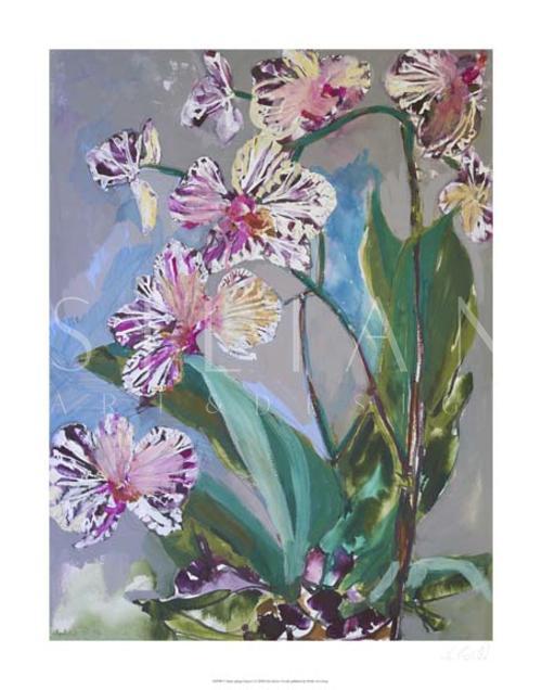 Maine Spring Flowers I
