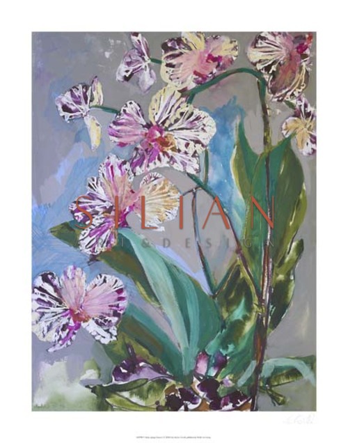 Maine Spring Flowers I