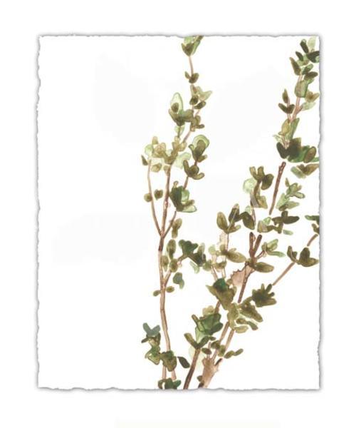 Earthtone Herbs II