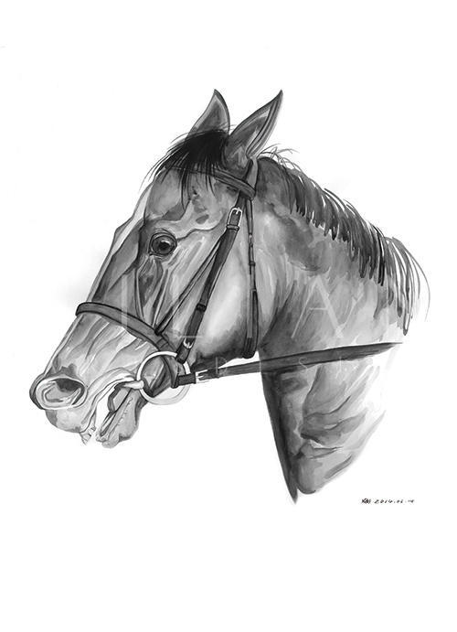 Horse Head