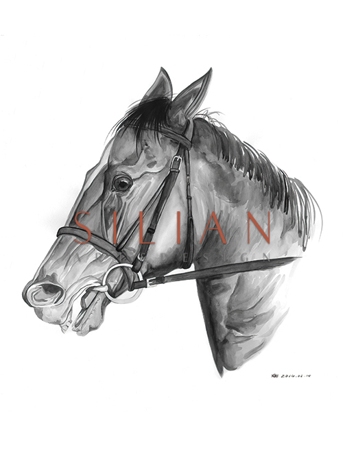 Horse Head
